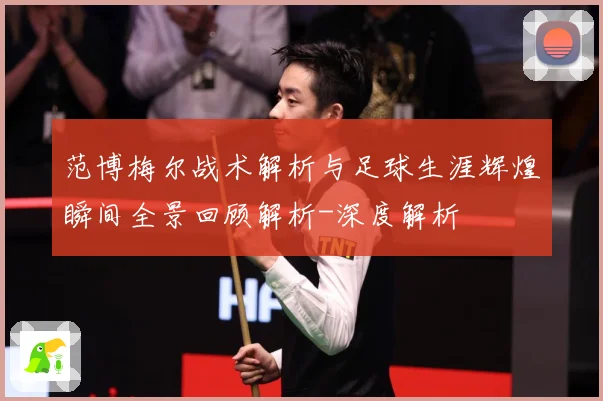 范博梅尔战术解析与足球生涯辉煌瞬间全景回顾解析-深度解析